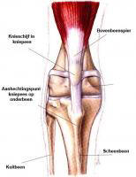 FGH erfelijke afwijkingen normale knie